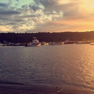 Meet your Posher, Diane